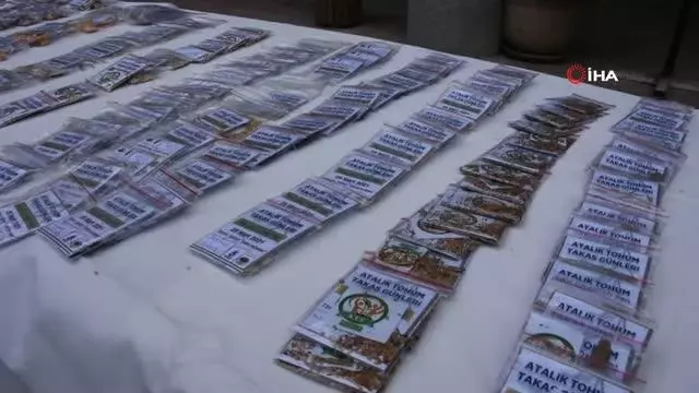 Atalık tohuma ilgi arttı Atalık tohuma ilgi arttı
