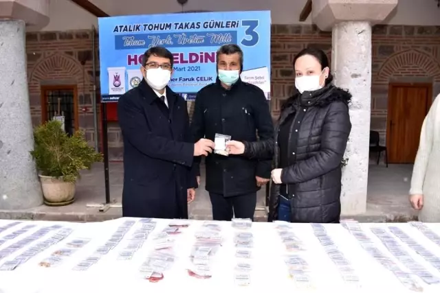 Atalık tohuma ilgi arttı