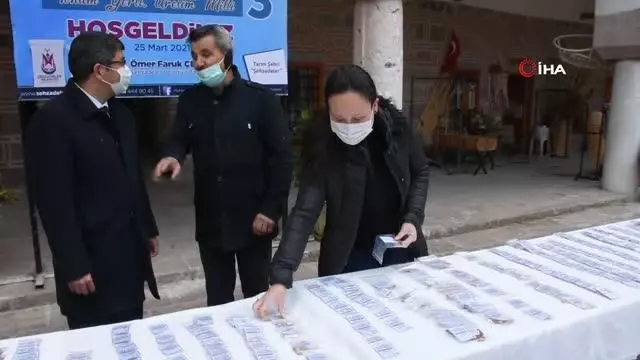 Atalık tohuma ilgi arttı
