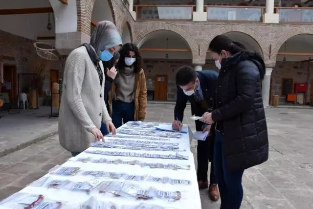 Atalık tohuma ilgi arttı