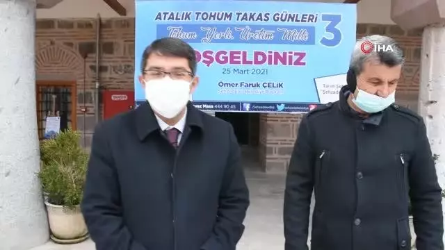 Atalık tohuma ilgi arttı
