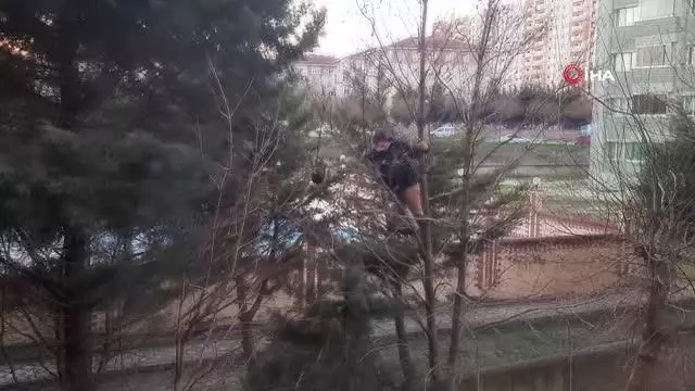 Son dakika: Beylikdüzü'nde 'Atmaca' operasyonu