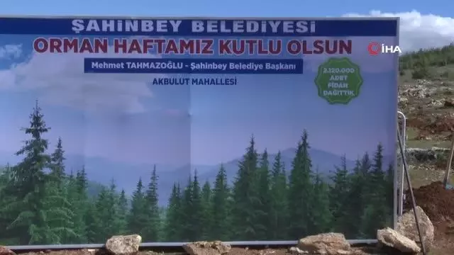 Daha yeşil bir Şahinbey için çam fidanı dikildi