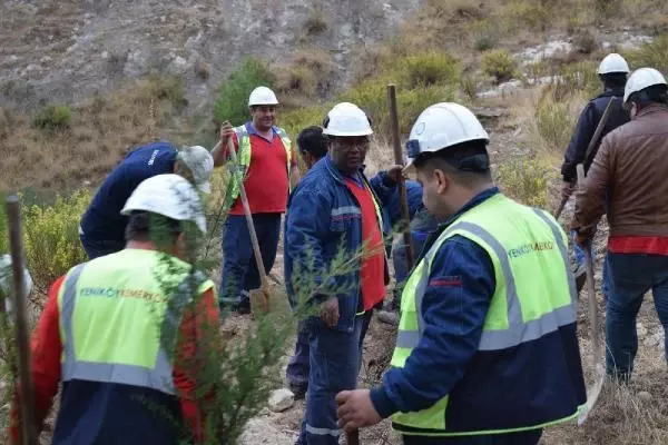 Enerji şirketinden 3 yılda 1 milyon ağaç Enerji şirketinden 3 yılda 1 milyon ağaç