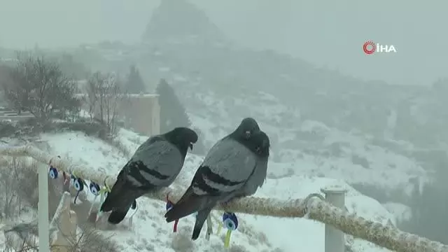 Kapadokya bahar ayında beyaza büründü Kapadokya bahar ayında beyaza büründü