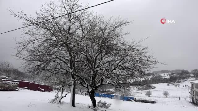 sicaga aldanip cicek acan meyve agaclari kar 2 14020751 o