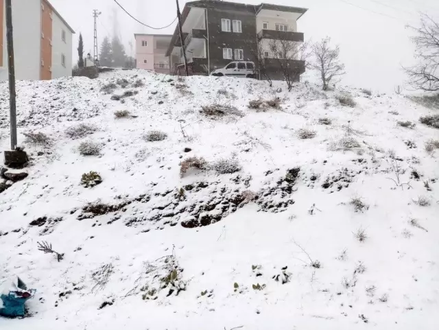 Sincik kara teslim oldu