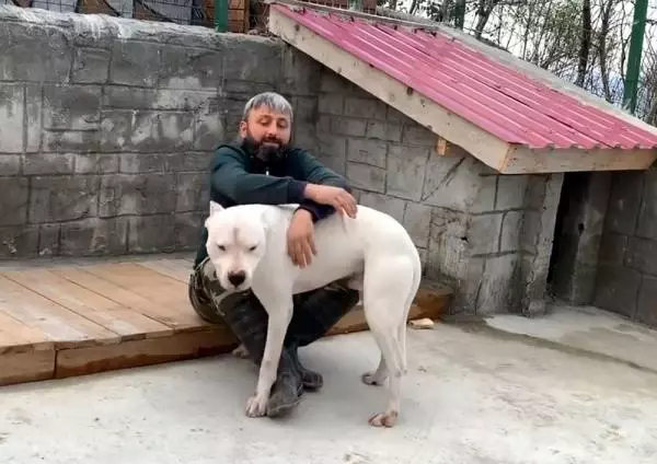 Trabzon'da hayvanseverlere eğitim Trabzon'da hayvanseverlere eğitim