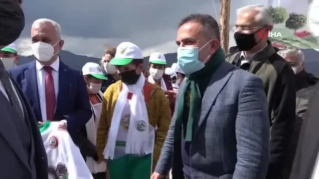 Yanan ormanın her karışı tohumlarla buluştu Yanan ormanın her karışı tohumlarla buluştu