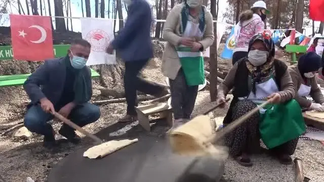 Yanan ormanın her karışı tohumlarla buluştu Yanan ormanın her karışı tohumlarla buluştu