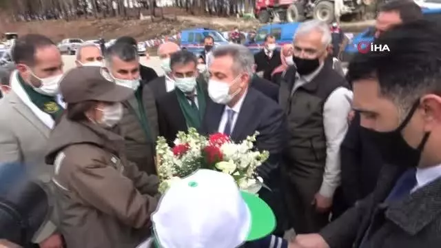 Yanan ormanın her karışı tohumlarla buluştu Yanan ormanın her karışı tohumlarla buluştu