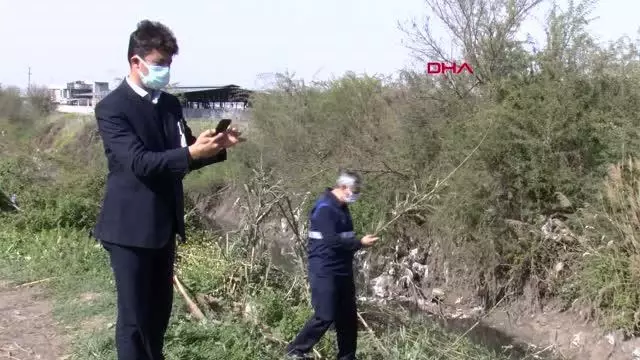 ADANA Dere yatağında çok sayıda at ve eşek kafasıyla kemikler bulundu ADANA Dere yatağında çok sayıda at ve eşek kafasıyla kemikler bulundu