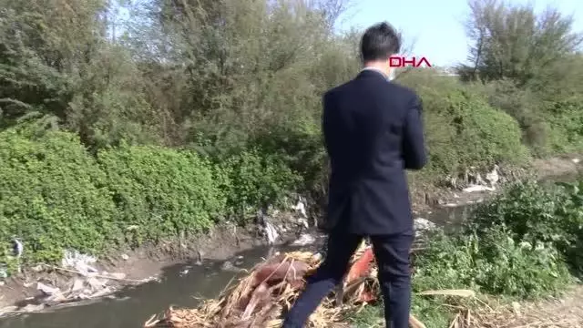 ADANA Dere yatağında çok sayıda at ve eşek kafasıyla kemikler bulundu ADANA Dere yatağında çok sayıda at ve eşek kafasıyla kemikler bulundu