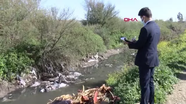 ADANA Dere yatağında çok sayıda at ve eşek kafasıyla kemikler bulundu ADANA Dere yatağında çok sayıda at ve eşek kafasıyla kemikler bulundu