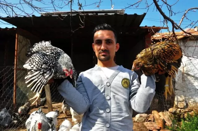 Amerika'dan getirttiği mavi yumurtalar hayatını değiştirdi! Ayda bin adet üretip tanesini 10 dolardan satıyor