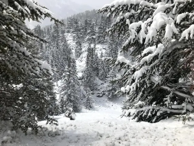 Kar kılınlığının 1 metreye ulaştığı Antalya-Konya karayolunda kartpostallık görüntüler Kar kılınlığının 1 metreye ulaştığı Antalya-Konya karayolunda kartpostallık görüntüler