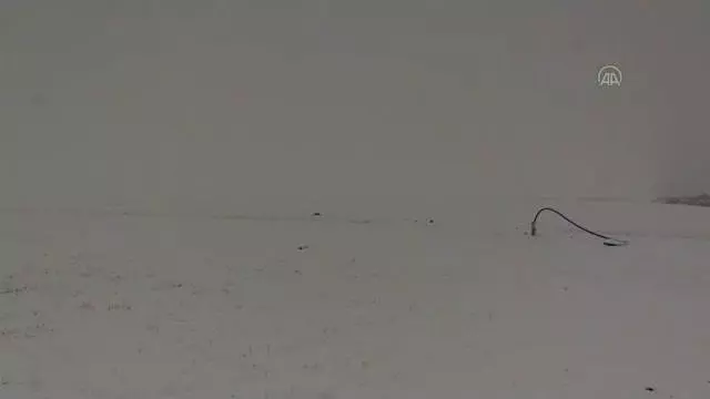 Kar yağışı Kar yağışı