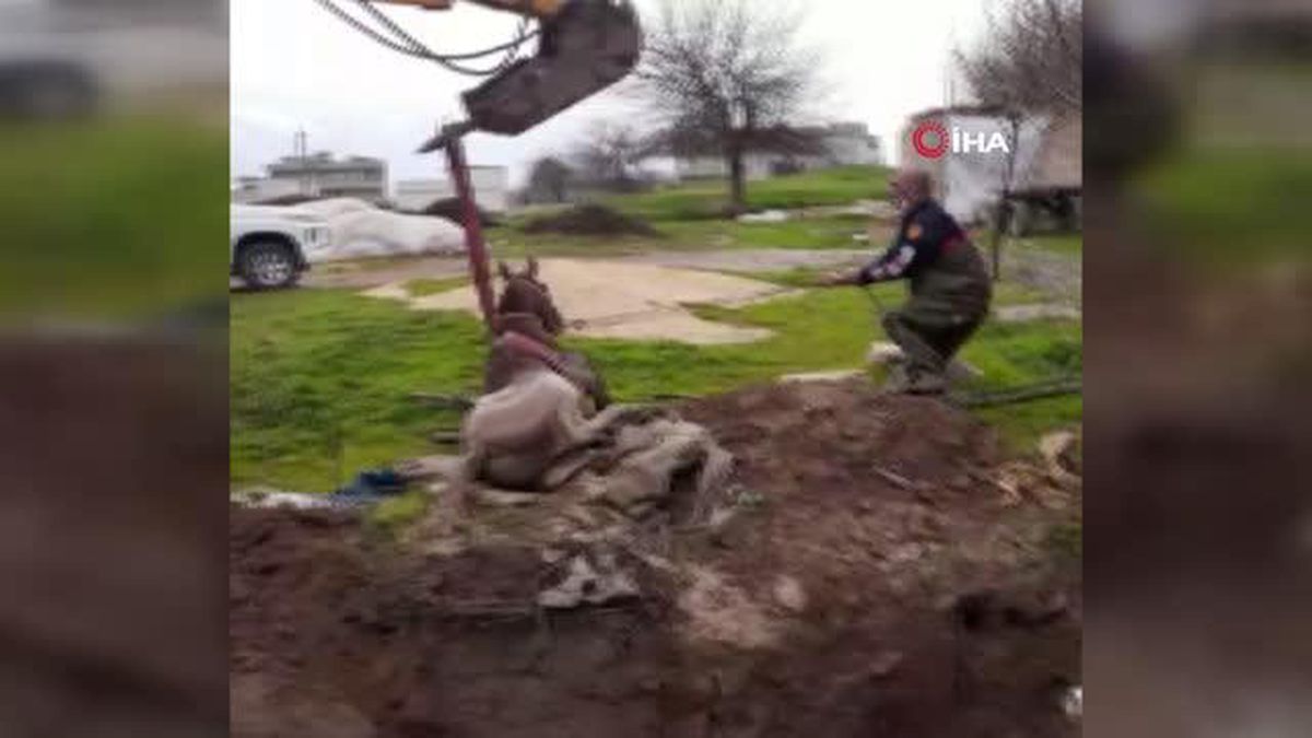 Son dakika haberi... Şanlıurfa'da fosseptik çukuruna düşen yarış atı kurtarıldı