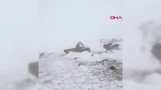 Süphan'a zirve tırmanışında tipiye yakalanan dağcılar, buz adama döndü Süphan'a zirve tırmanışında tipiye yakalanan dağcılar, buz adama döndü