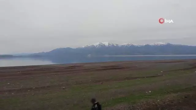 Süt için aldığı keçiler, çift çift kuzulayınca sürü sahibi oldu Süt için aldığı keçiler, çift çift kuzulayınca sürü sahibi oldu