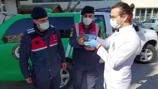 Yaralı atmacaya jandarma sahip çıktı