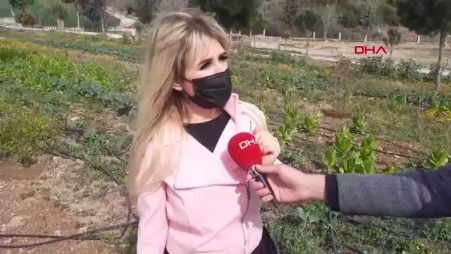ADANA Lise öğrencileri okul bahçesinde sebze-meyve yetiştiriyor ADANA Lise öğrencileri okul bahçesinde sebze-meyve yetiştiriyor