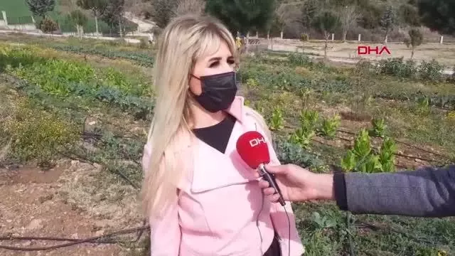ADANA Lise öğrencileri okul bahçesinde sebze-meyve yetiştiriyor ADANA Lise öğrencileri okul bahçesinde sebze-meyve yetiştiriyor