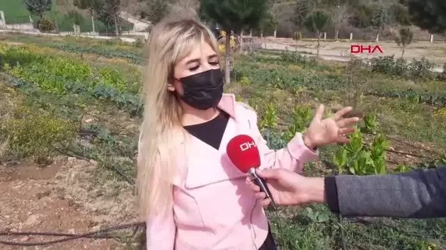 ADANA Lise öğrencileri okul bahçesinde sebze-meyve yetiştiriyor ADANA Lise öğrencileri okul bahçesinde sebze-meyve yetiştiriyor