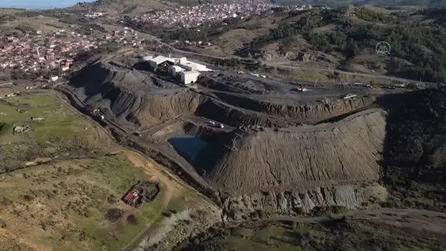 BALIKESİR - Ayvalık'ta 40 keçinin telef olduğu iddia edildi BALIKESİR - Ayvalık'ta 40 keçinin telef olduğu iddia edildi