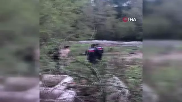 Boşaltılan domuz çiftliğinde insan kafatası bulundu Boşaltılan domuz çiftliğinde insan kafatası bulundu