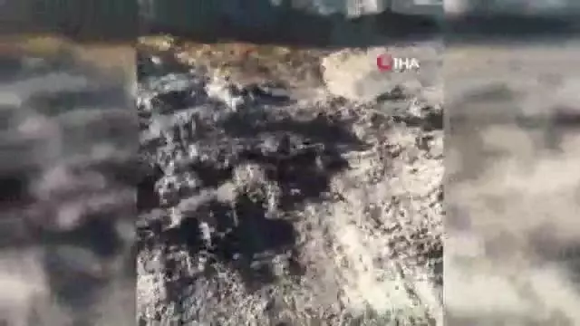 Denizde organik kirlilik Denizde organik kirlilik