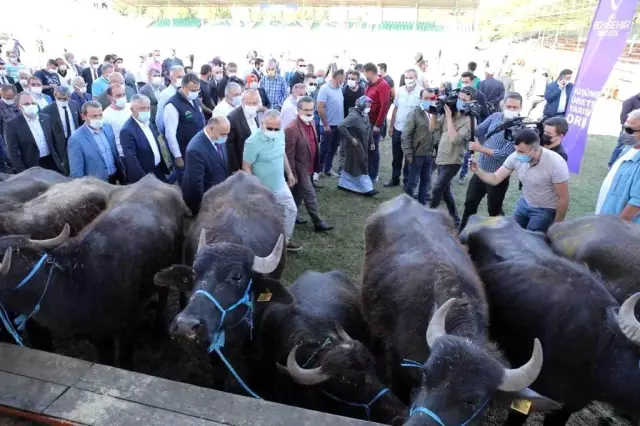 Ekrem İmamoğlu ile Mansur Yavaş, Hilmi Güler'e örnek aldı Ekrem İmamoğlu ile Mansur Yavaş, Hilmi Güler'e örnek aldı