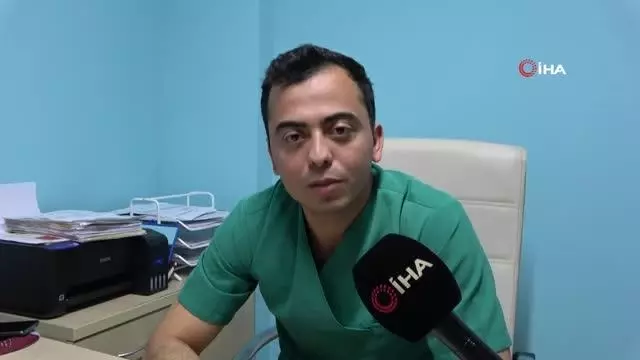 Evcil hayvanlar için mikroçip zorunlu oldu