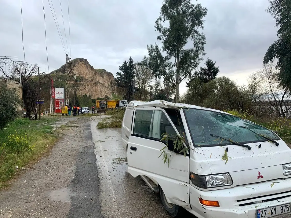 Fırtınada devrilen ağaçlar araçlara zarar verdi