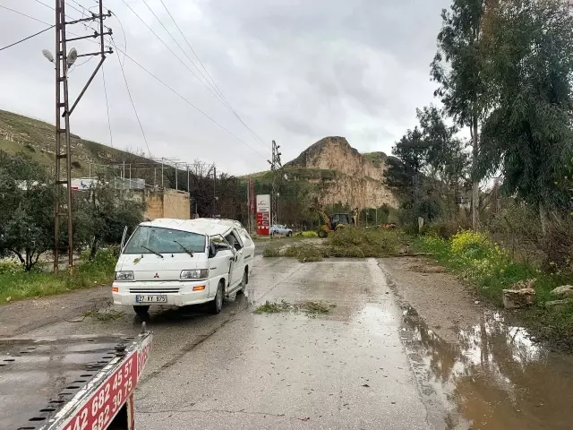 Fırtınada devrilen ağaçlar araçlara zarar verdi