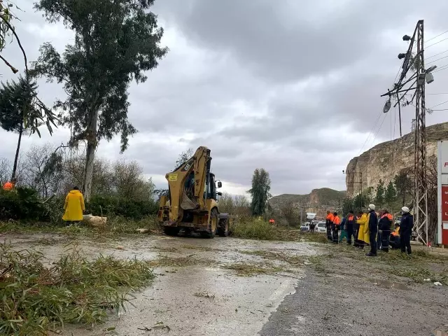 Fırtınada devrilen ağaçlar araçlara zarar verdi