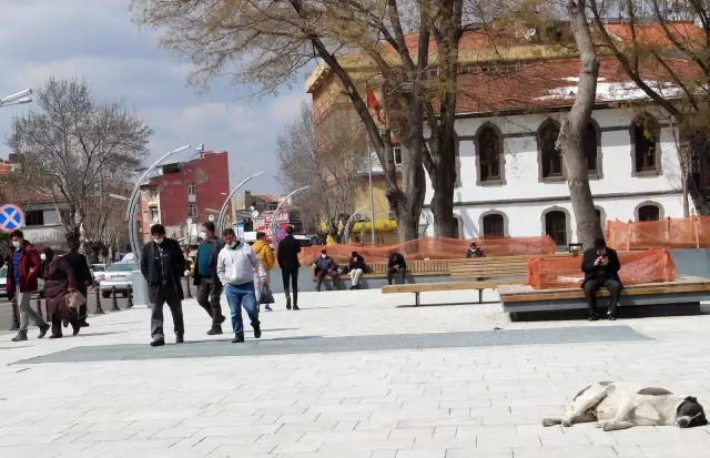 Kar yağışı sonrası güneşli havayı gören kendini sokağa attı Kar yağışı sonrası güneşli havayı gören kendini sokağa attı