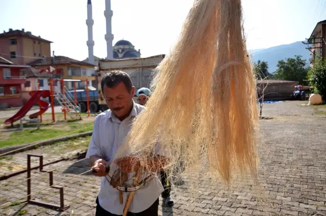 Kastamonu'da kenevir ekimi başladı Kastamonu'da kenevir ekimi başladı