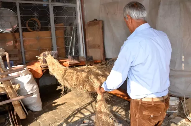 Kastamonu'da kenevir ekimi başladı Kastamonu'da kenevir ekimi başladı