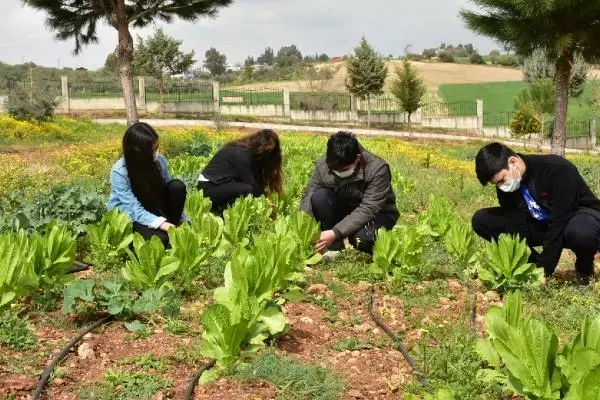 ADANA Lise öğrencileri okul bahçesinde sebze-meyve yetiştiriyor ADANA Lise öğrencileri okul bahçesinde sebze-meyve yetiştiriyor