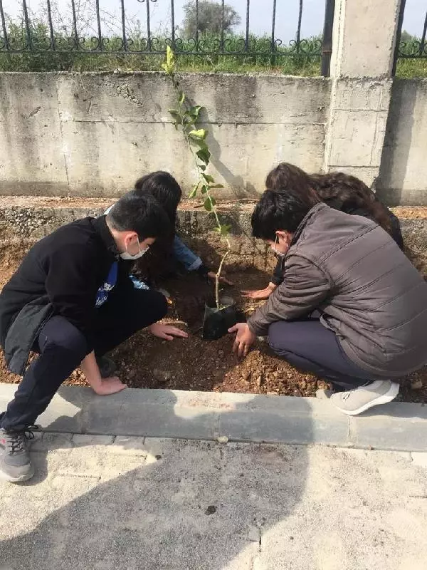 ADANA Lise öğrencileri okul bahçesinde sebze-meyve yetiştiriyor ADANA Lise öğrencileri okul bahçesinde sebze-meyve yetiştiriyor
