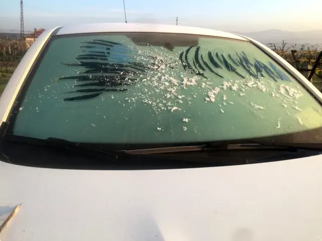 Manisa'da üzüm bağlarını önce kar sonra don vurdu Manisa'da üzüm bağlarını önce kar sonra don vurdu