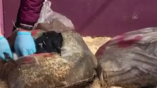 Saman yüklü kamyonette 358 kilo 266 gram eroin ele geçirildi