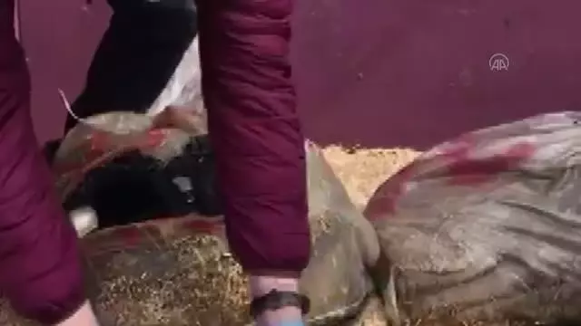 Saman yüklü kamyonette 358 kilo 266 gram eroin ele geçirildi