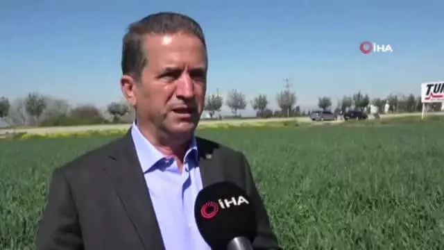 Soğan hasadı yaklaşıyor üretici pazar bulamama korkusu yaşıyor Soğan hasadı yaklaşıyor üretici pazar bulamama korkusu yaşıyor