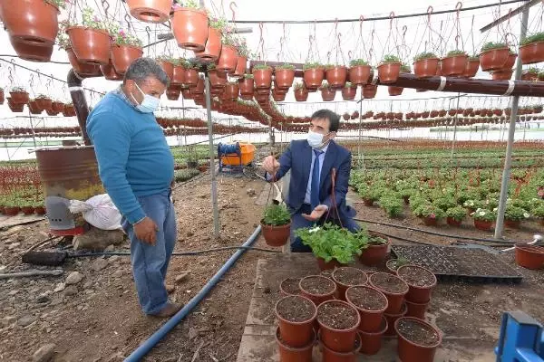 Süs bitkileri üretimi için 2 dekar alana sera kurdu Süs bitkileri üretimi için 2 dekar alana sera kurdu