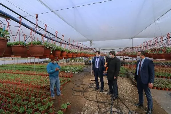 Süs bitkileri üretimi için 2 dekar alana sera kurdu Süs bitkileri üretimi için 2 dekar alana sera kurdu