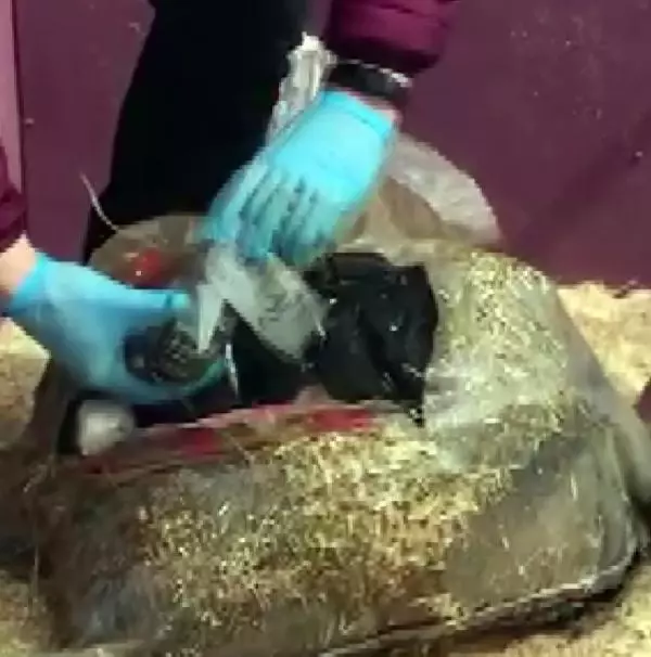 Saman yüklü kamyonette 358 kilo 266 gram eroin ele geçirildi