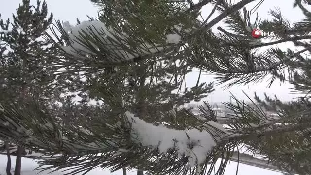 Ağrı'da ağaçların oluşturduğu kar manzarası göz kamaştırdı Ağrı'da ağaçların oluşturduğu kar manzarası göz kamaştırdı