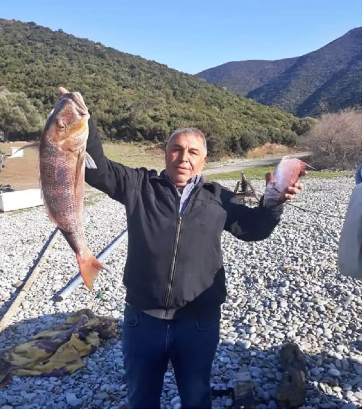 Amatör balıkçı oltasıyla 7 kiloluk sinarit avladı